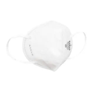 N95 Mask